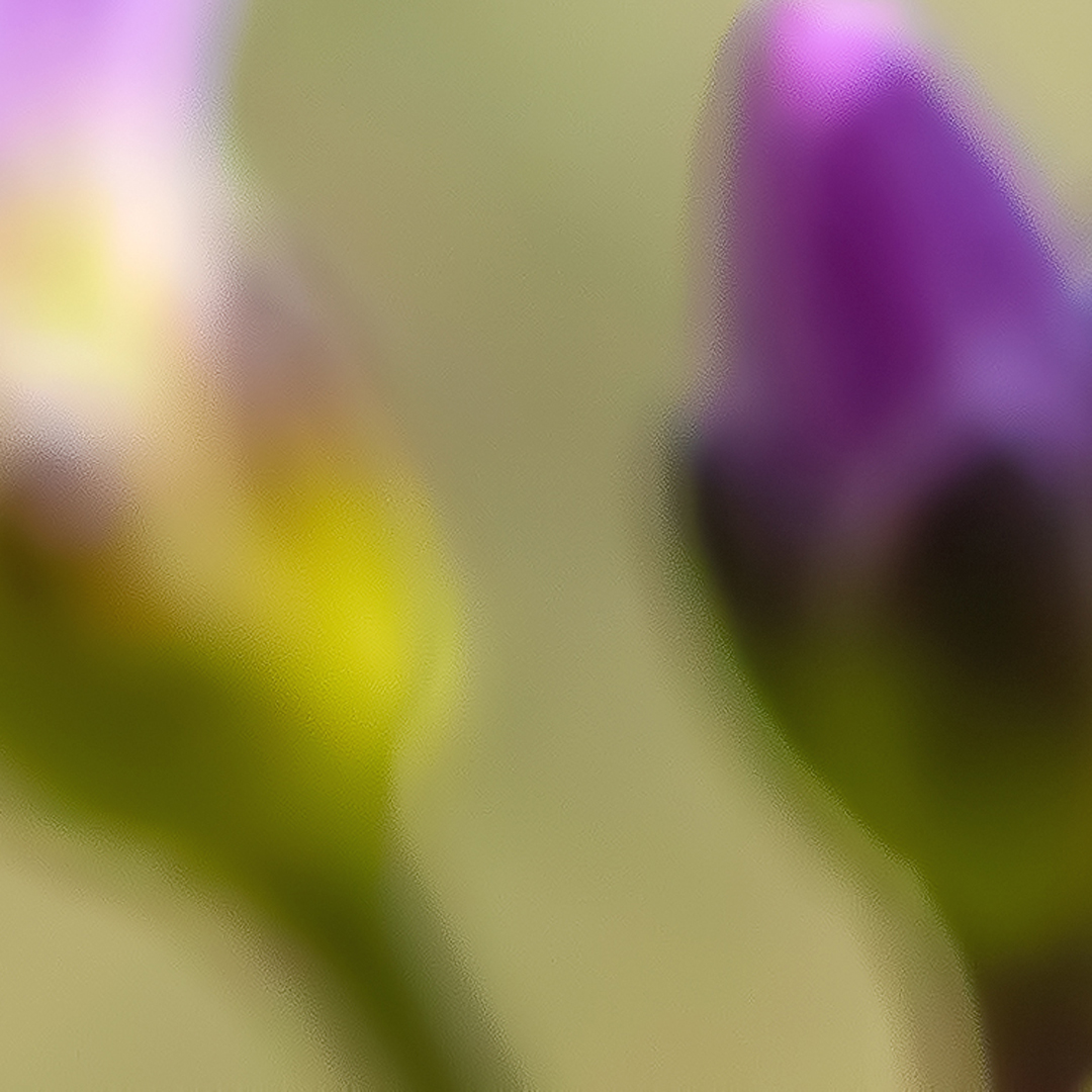 _B5A1241C_1