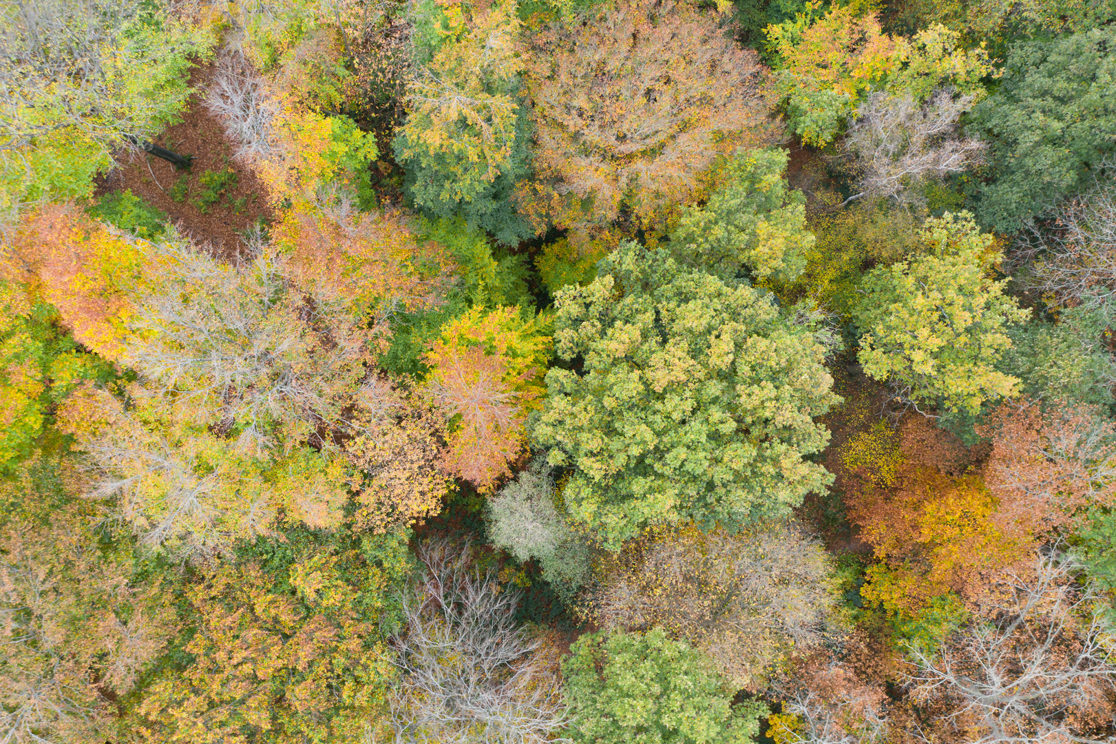 DJI_0112