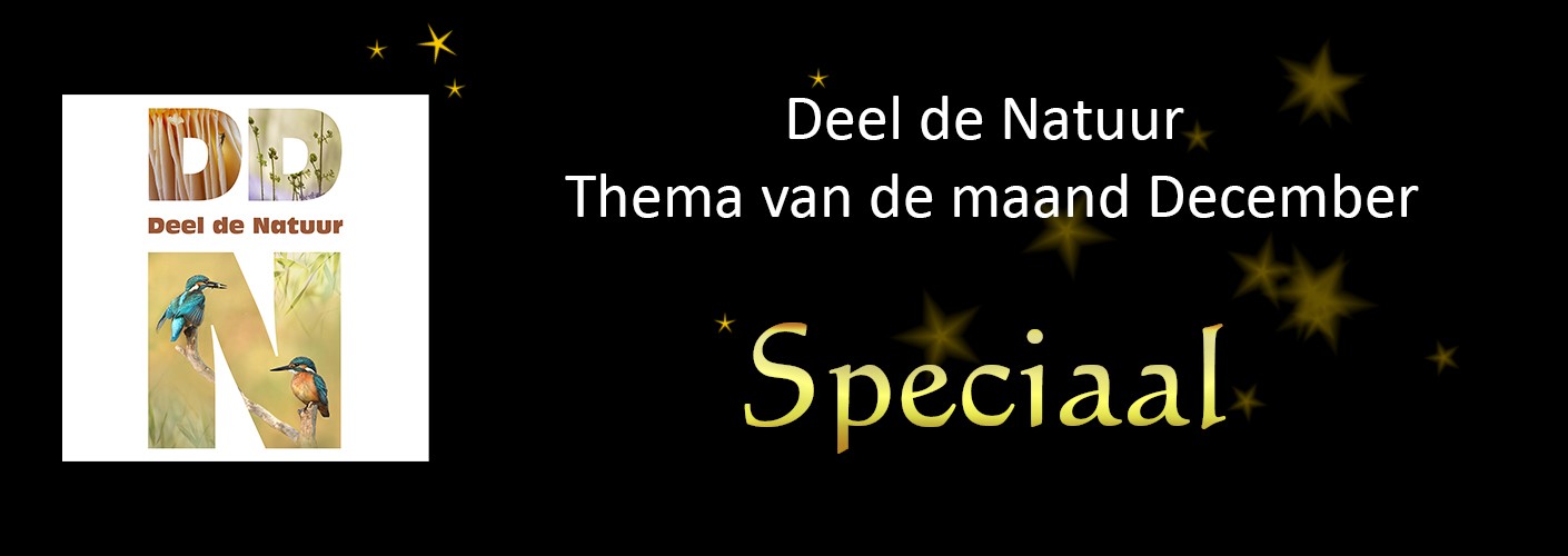 Thema van de maand december - Speciaal