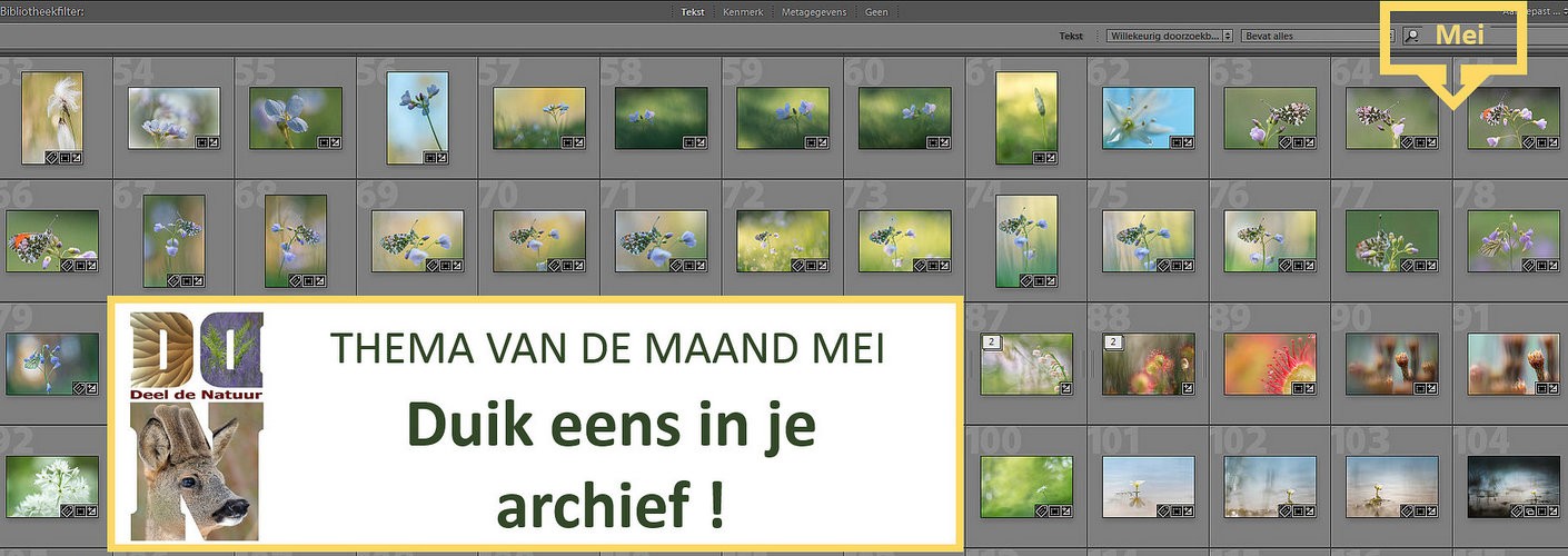 Thema van de maand mei - Duik eens in je archief!
