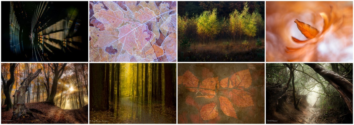 Thema van de maand november - Herfstsfeer