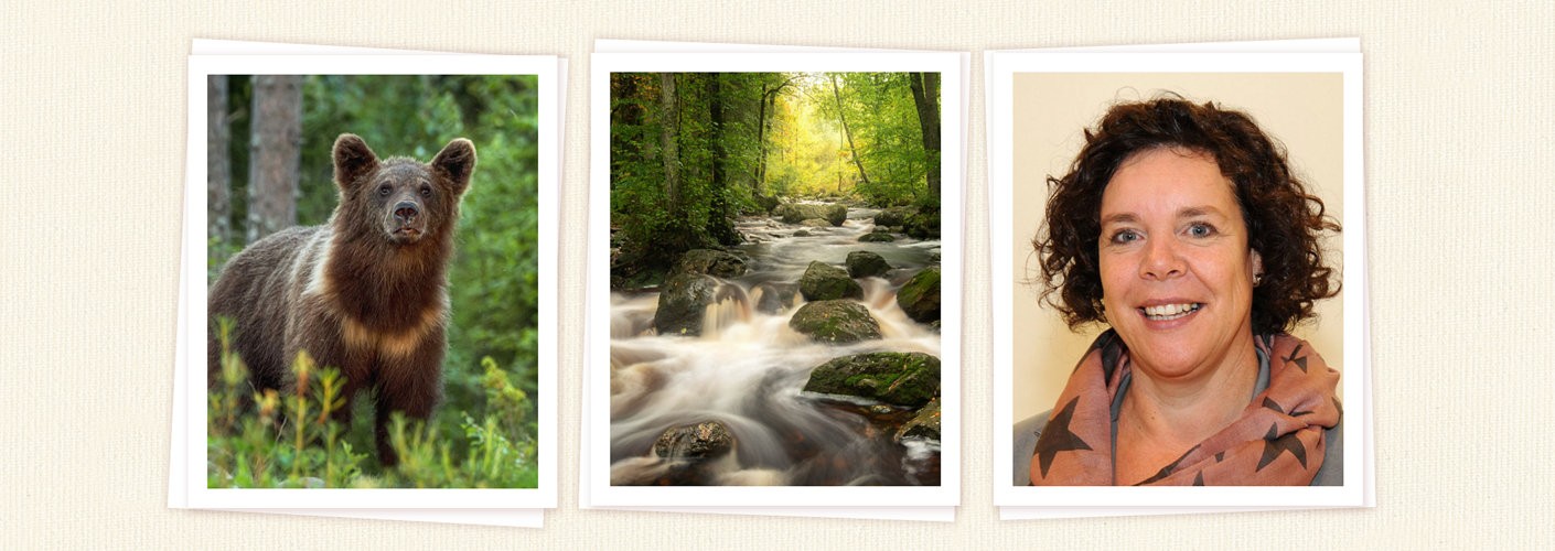Portfolio Roelie Steinmann