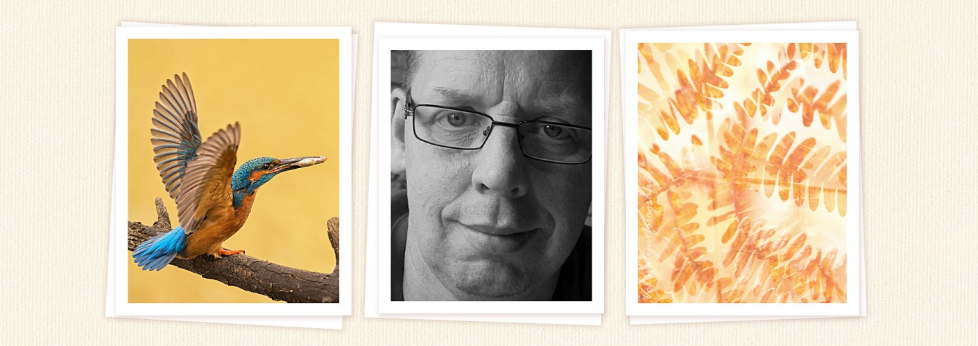 Portfolio René Vos