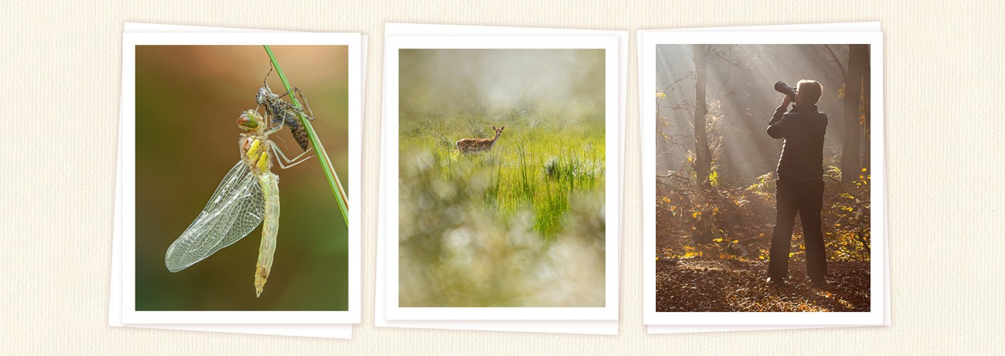 Portfolio Teuni Stevense