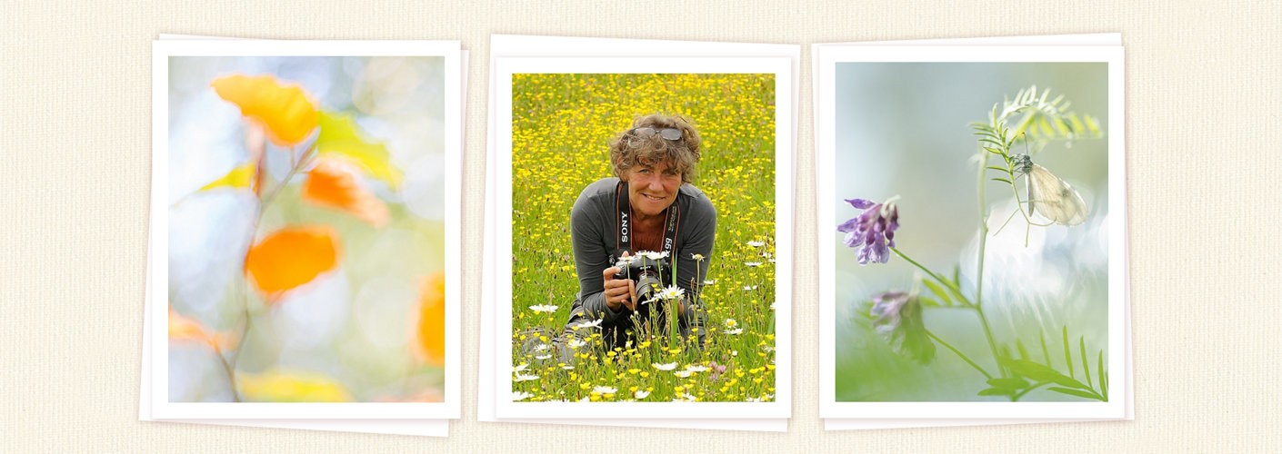 Portfolio Loes Belovics