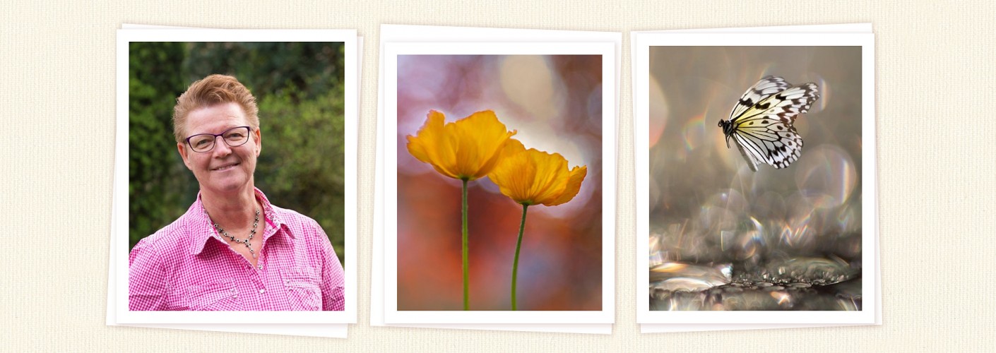 Portfolio Brigitte van Krimpen