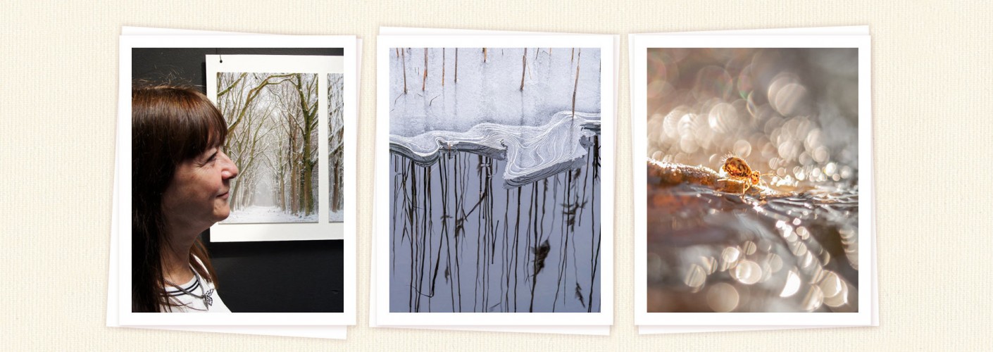 Portfolio Gonnie van de Schans