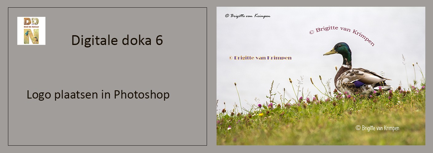 Logo plaatsen in Photoshop