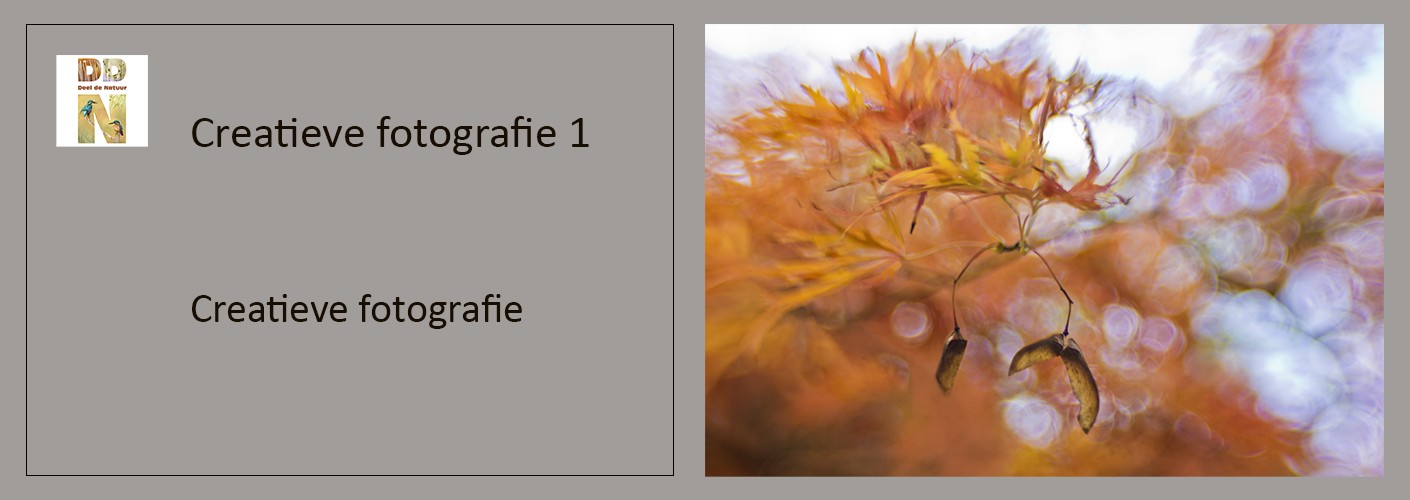 Creatieve fotografie