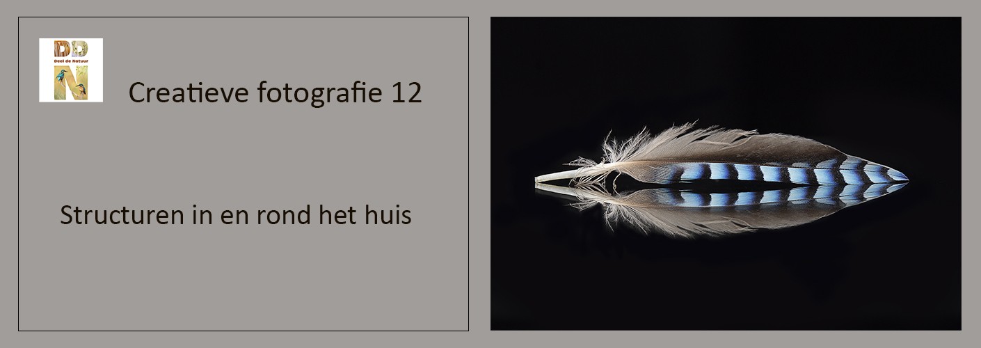 Structuren in en rond het huis