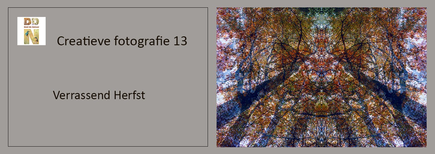 Creatieve fotografie - Verrassend herfst
