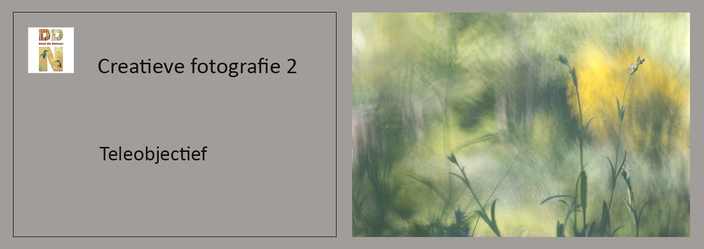Teleobjectief