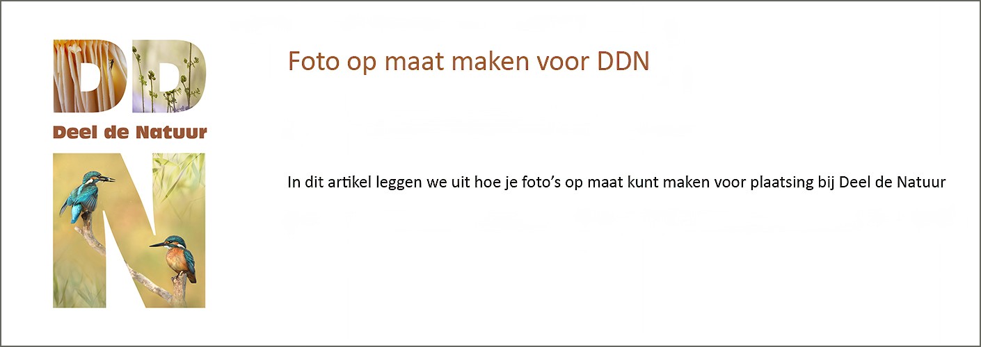 Foto op maat maken voor DDN