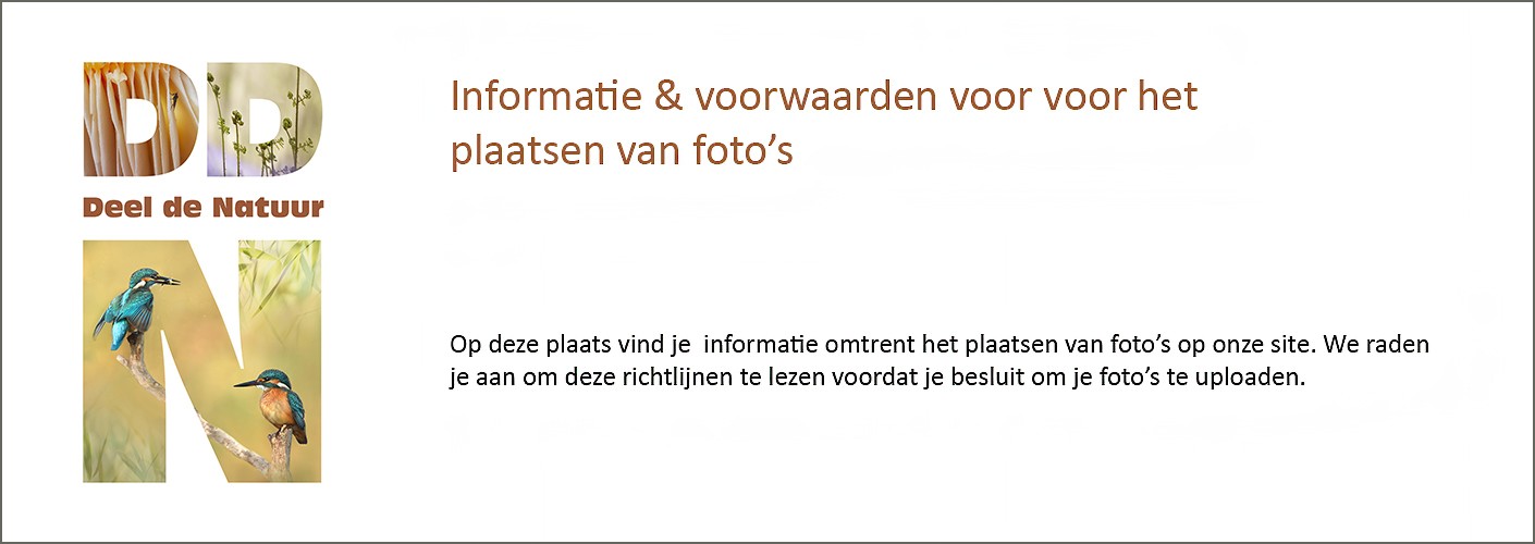 Informatie en voorwaarden