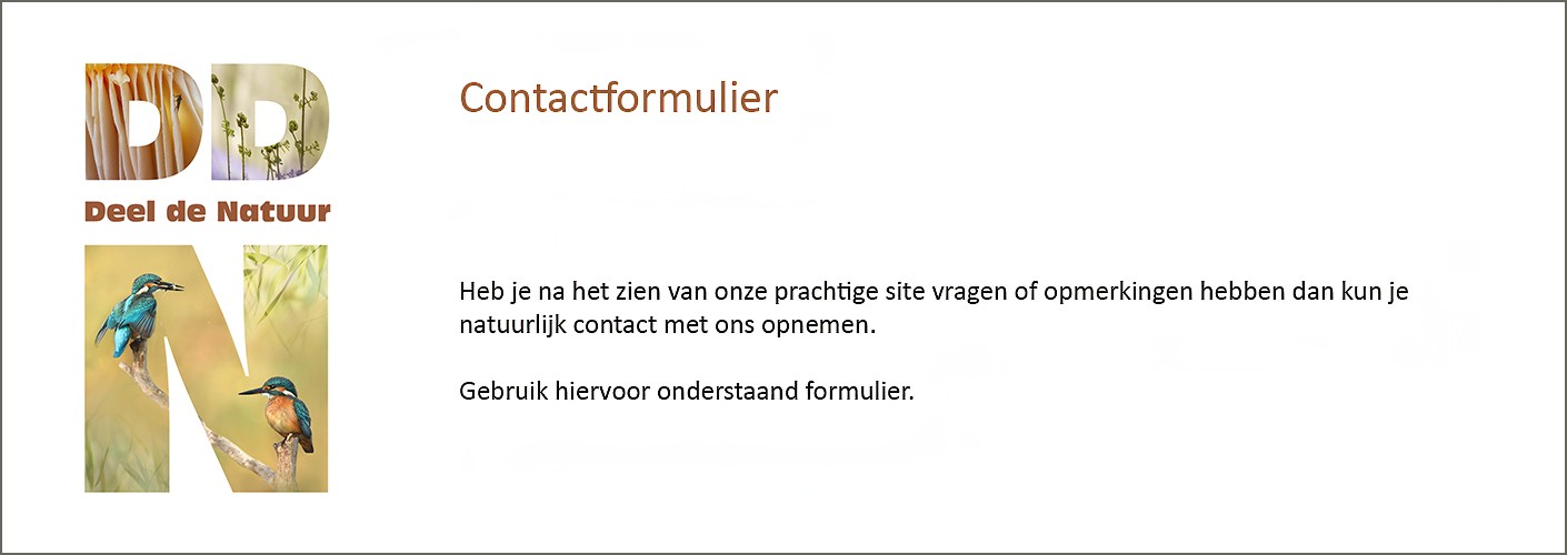 Contact