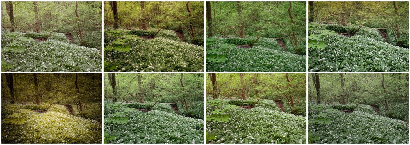 Make-over "Lentebos in bloei"