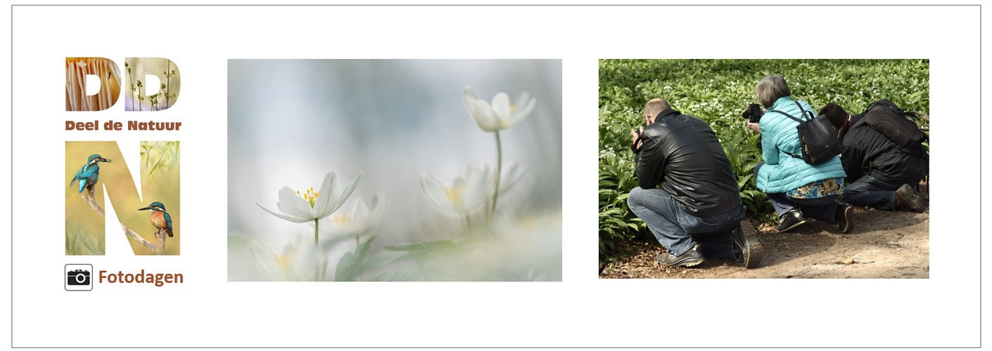 DDN fotodag Bosanemoontjes