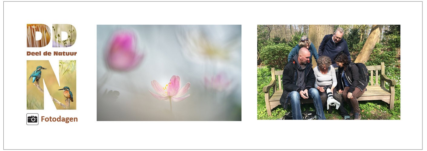 Verslag DDN fotodag Bosanemoontjes