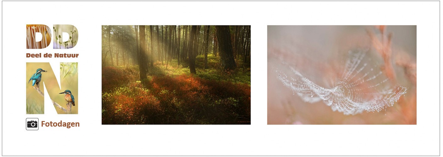 Verslag DDN fotodag Veluwezoom