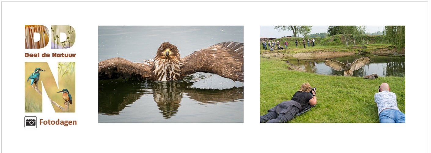 Verslag fotodag Deel de Natuur / Olympus