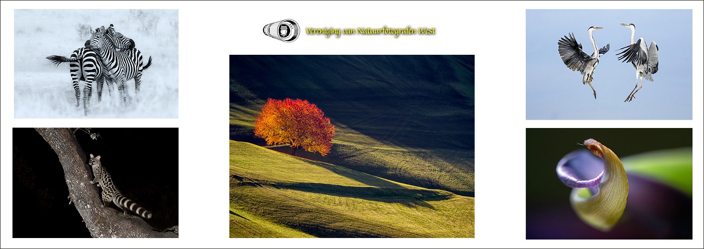 Vereniging van Natuurfotografen West