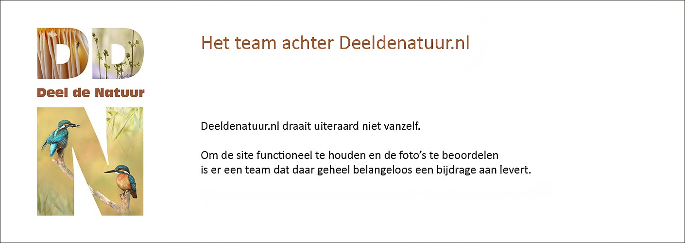Het team achter Deel de Natuur
