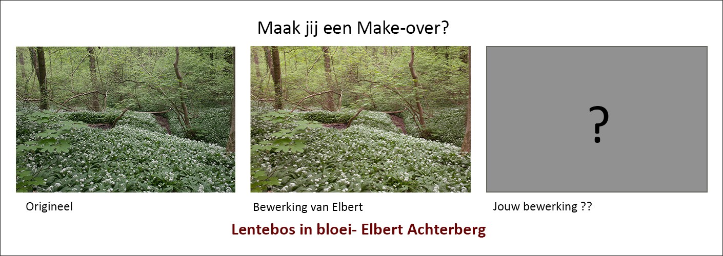"Lentebos in bloei" - maak jij een make-over?