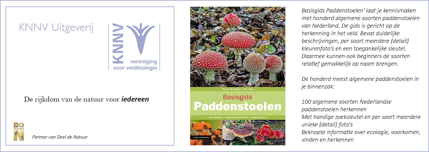 Basisgids Paddenstoelen