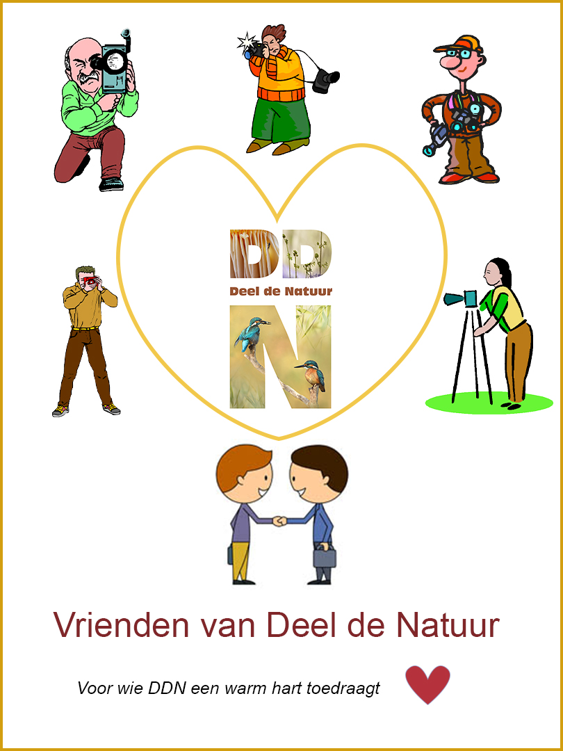 DDN Vrienden van DDN spotlight v2