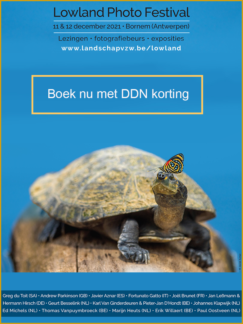 LOWLANDS