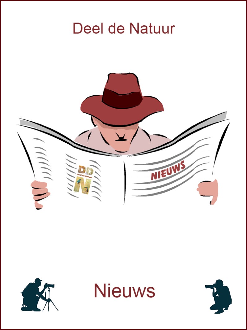 Nieuws