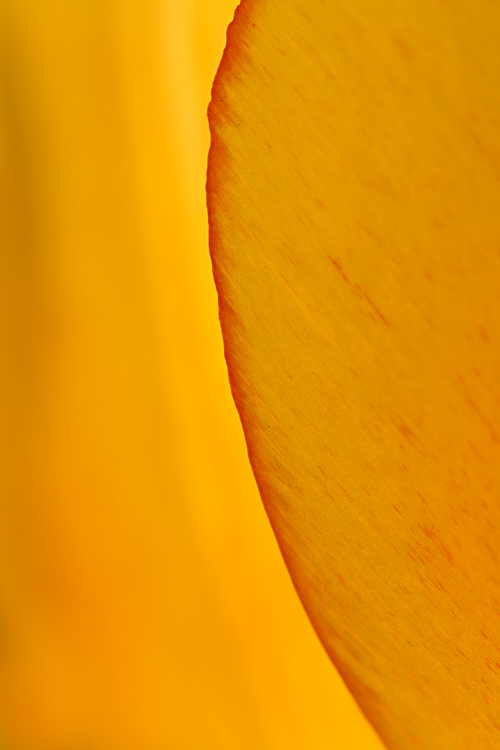 1246