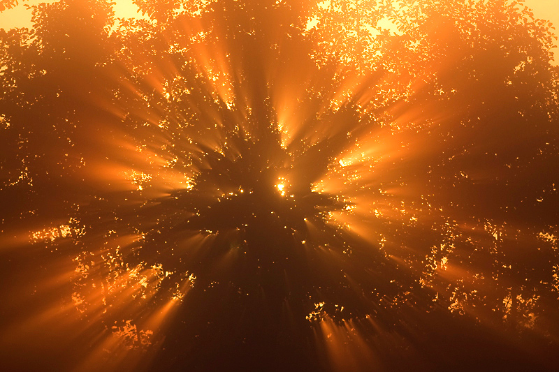1611