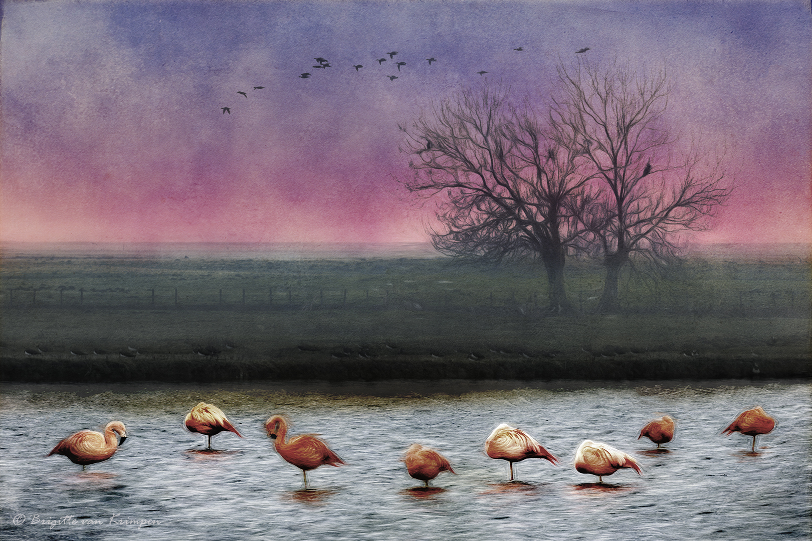 Flamingo Art 5 10180PX
